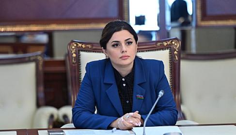 Milli Məclis üzvündən 