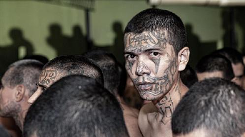 Президент поделился фотографиями осужденных членов банды -