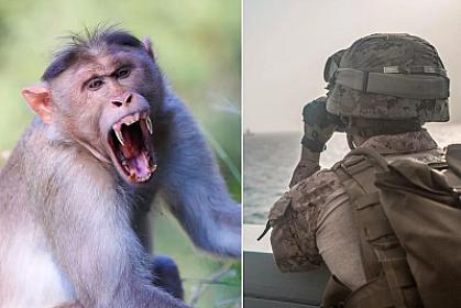 Hörmüz yolunda insident: