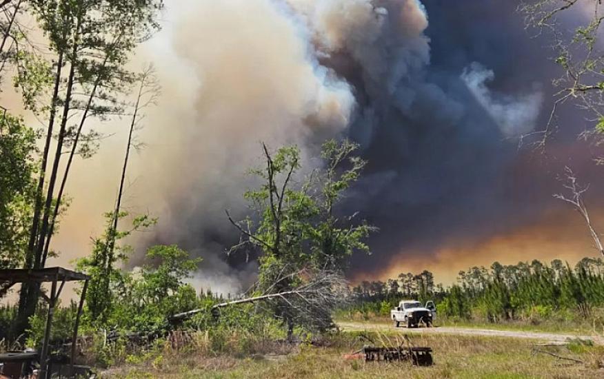 В США начались лесные пожары: