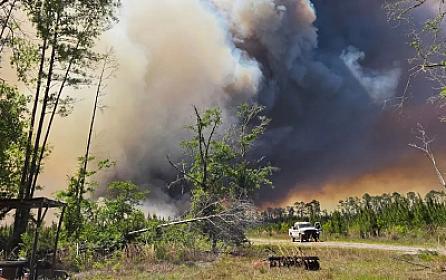 ABŞ-də meşə yanğınları başladı: 
