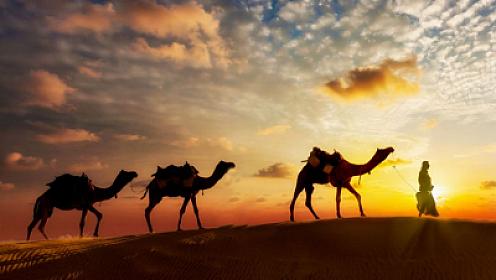 Ənsar mirası: Mədinədən başlayan bir elm və iman salnaməsi