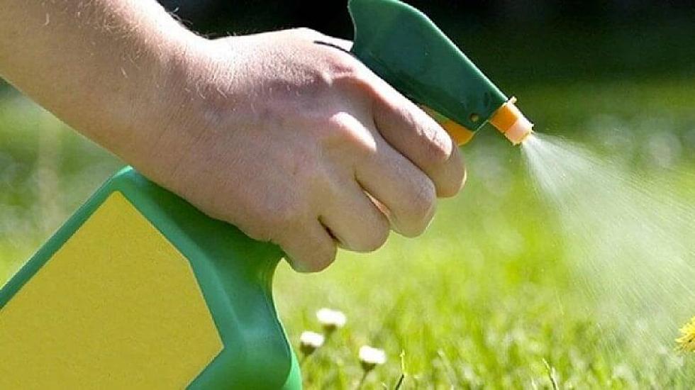 Простой способ избавиться от сорняков без использования химических веществ