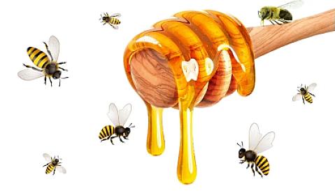 Azərbaycanda bu balların satışı