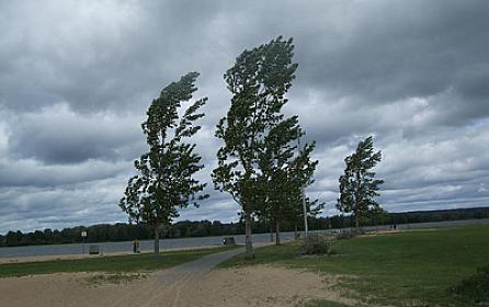 Bakıda güclü şimal-qərb küləyi əsəcək, rayonlara yağış yağacaq