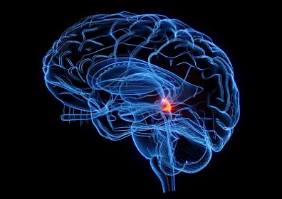 Beynin qocalmasını 3 dəfə sürətləndirdiyiniz bilsəniz, bir də dilinizə belə vurmayacaqsınız