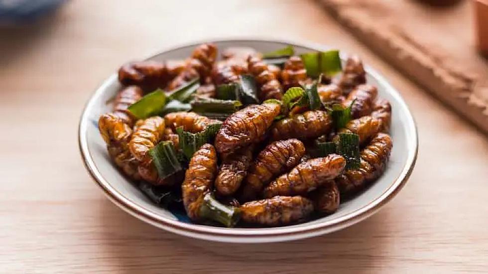 Dünyanın “ən pis yeməkləri” açıqlanıb -