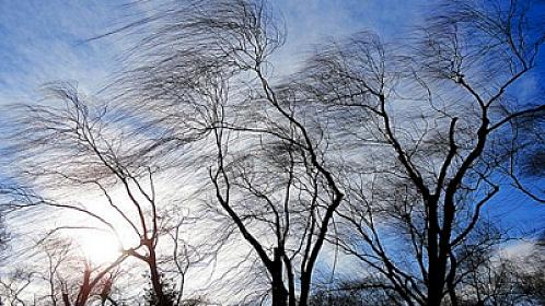 Bakıda küləkli hava nə qədər davam edəcək? 