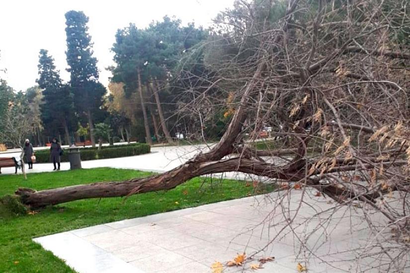 Bakıda güclü külək səbəbindən 
