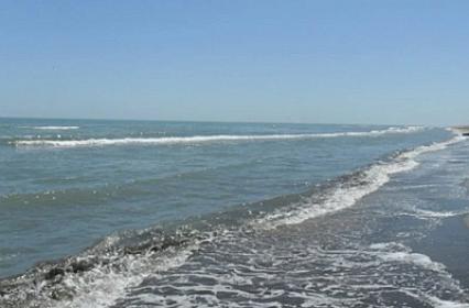 Xəzərlə bağlı yayılan iddialara rəsmi REAKSİYA