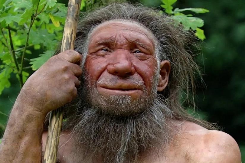 Regarding the disappearance of the Neanderthals