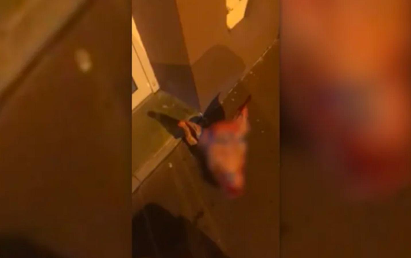 Fransa donuz məsələsində Rusiyadan