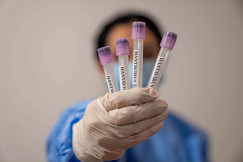 Hantavirus yayılır: 