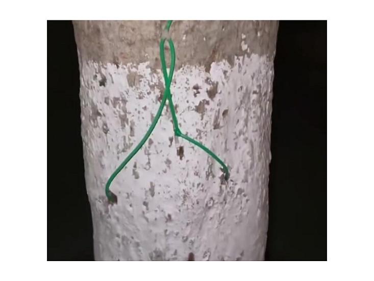 In China, a system is being installed on trees -