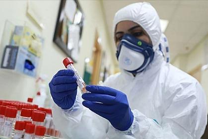 Hantavirus koronavirusdan təhlükəlidir? – 