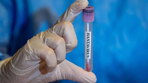 Regarding hantavirus in Europe