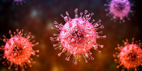 Hantavirus necə yayılır? - 