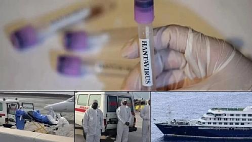 Hantavirus: Siçanlardan yayılan viruslar on milyonlarla insanı məhv edib - 