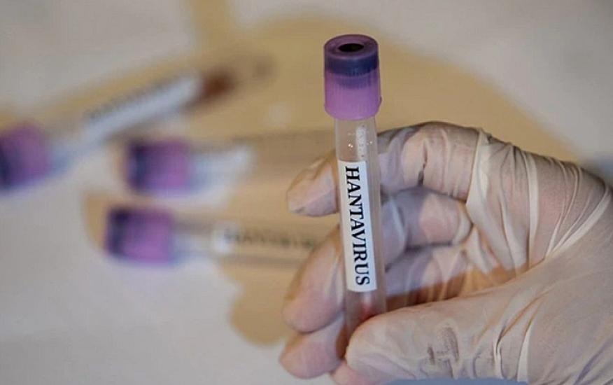 From WHO regarding hantavirus
