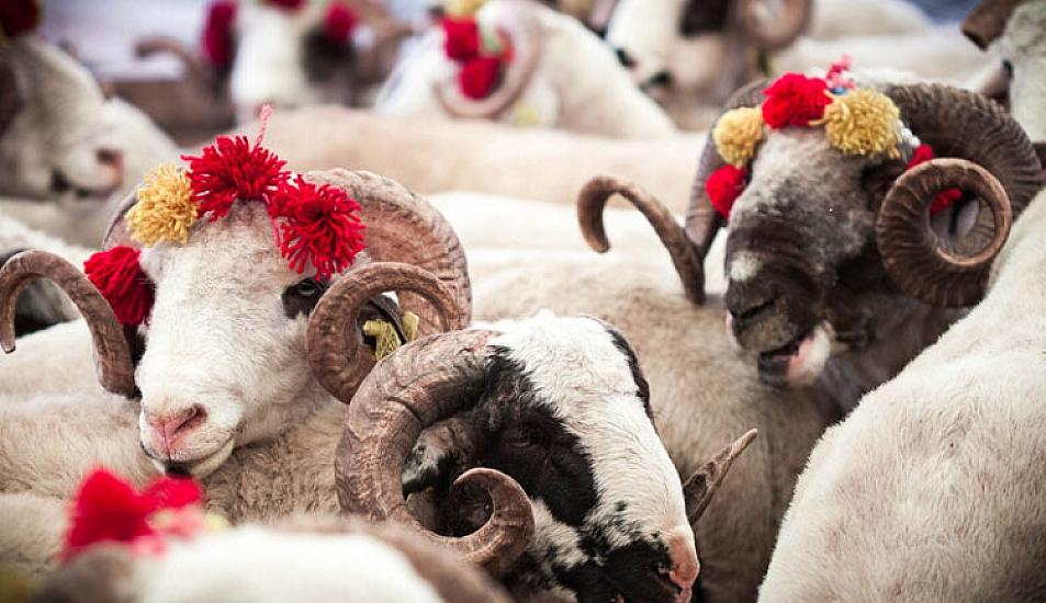 Qurban bayramı öncəsi 