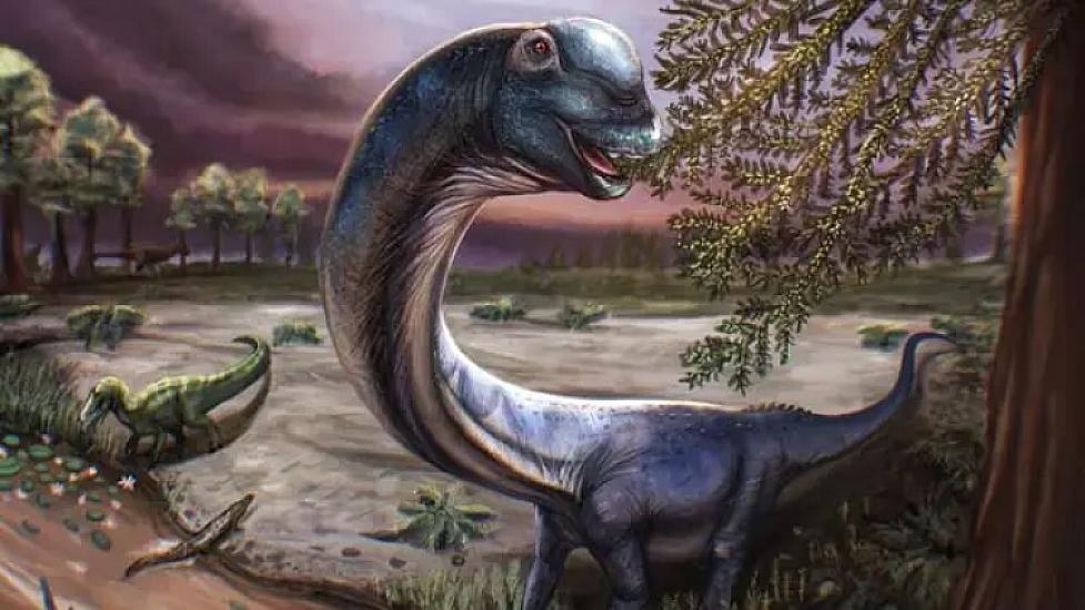 Nəhəng dinozavr növü 