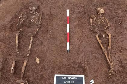 Yol tikintisi zamanı 8 min il əvvələ aid insan skeletləri 