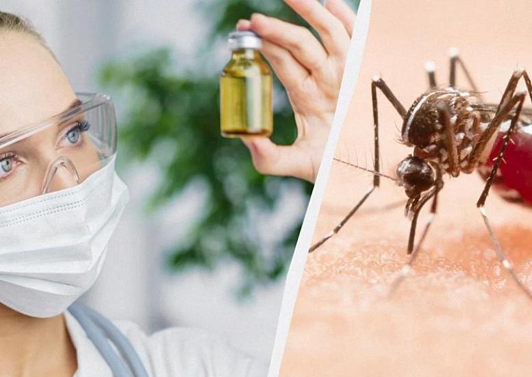 A new mosquito repellent was discovered: What does it repel pests?