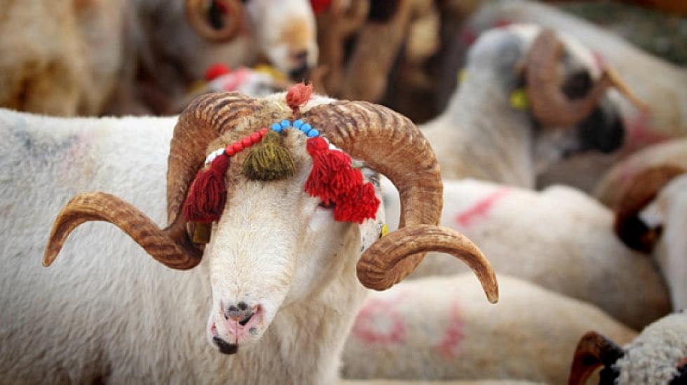 Qurban bayramı ilə bağlı qaydalar 