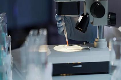 Hantavirus hides in sperm for years -