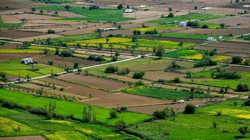 İki rayonda torpaq bahalaşdı - 