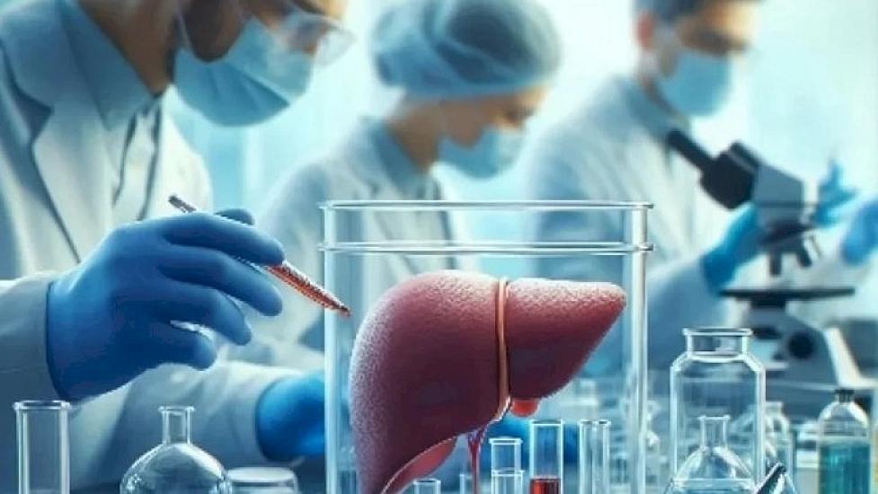 Honkonqda nadir hepatit E virusuna yoluxma 
