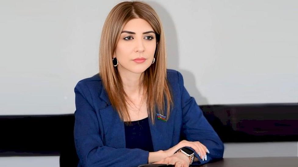 “Uşaqpulu tənbəllik yarada bilər” – 