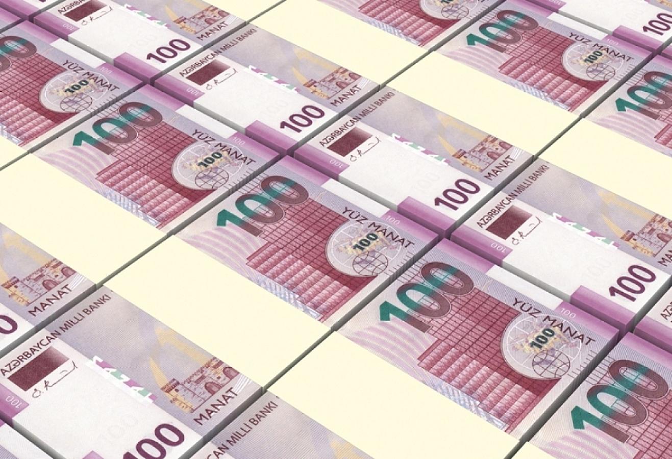 The state budget for next year could be as follows: