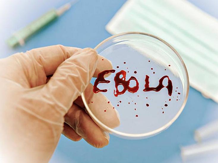 Ebola virusuna yoluxan 18 nəfər xəstəxanadan qaçdı