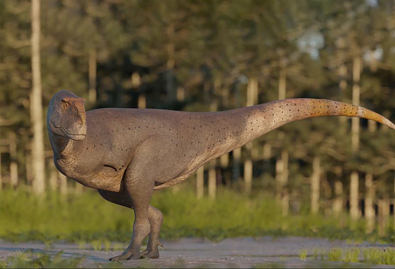 Lələkli dinozavr qalıqları aşkar edilib