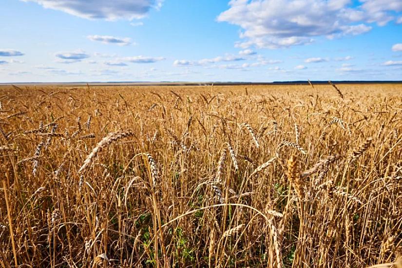 Russia will send wheat and fertilizer to Armenia via transit through Azerbaijan.