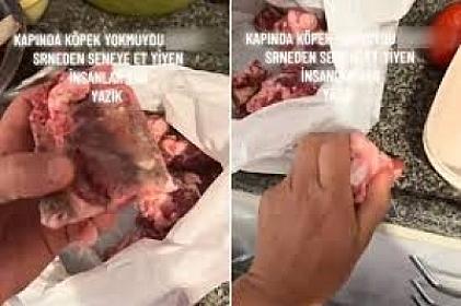 Qurban payına əsəbiləşib BU VİDEOnu paylaşdı - 