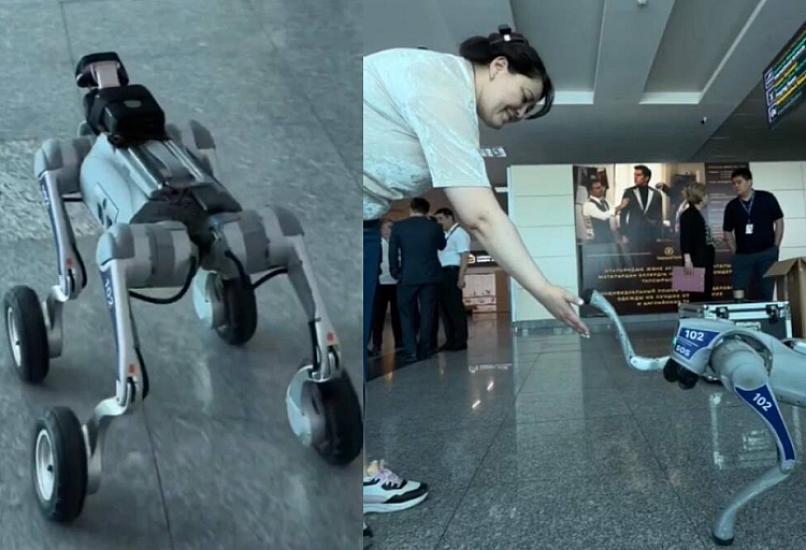 Bu postsovet ölkəsində robot itlər patrul xidməti aparmağa başladı