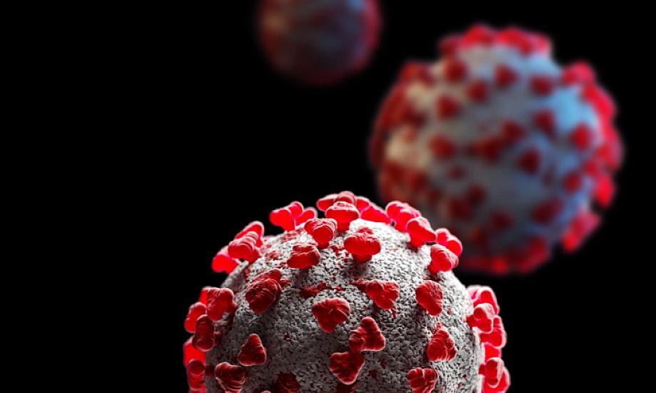 Gürcüstanda təhlükəli virus aşkarlanıb