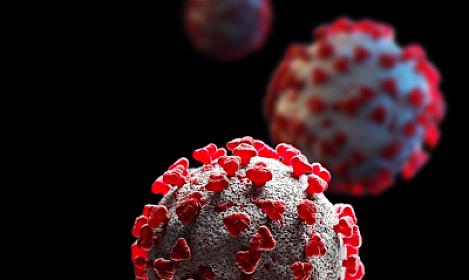Gürcüstanda təhlükəli virus aşkarlanıb