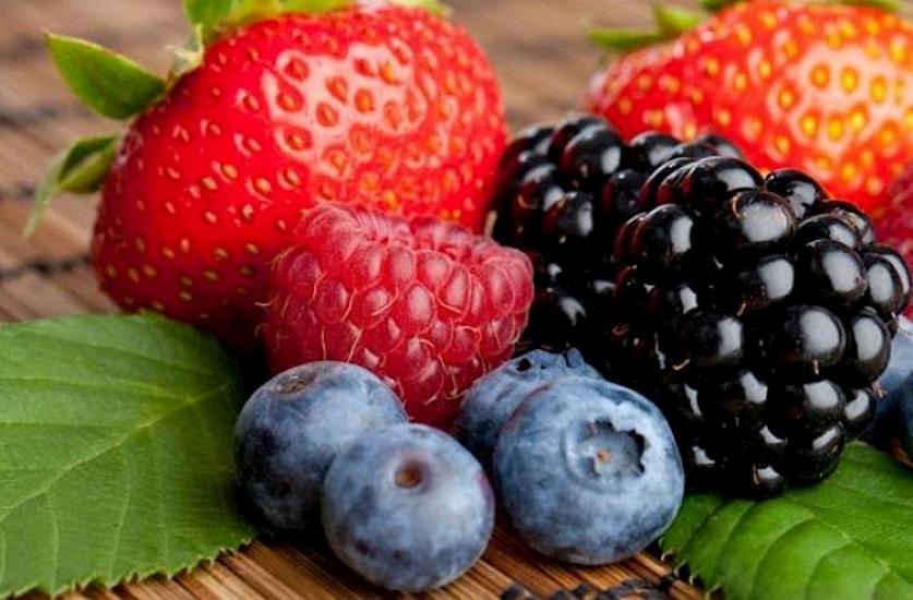 Mütəxəssis ən faydalı yay giləmeyvəsini açıqladı