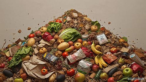 Approximately one trillion dollars worth of food is wasted worldwide every year -