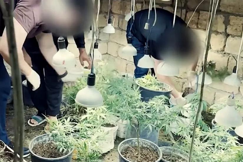 В Новханы обнаружен наркобункер -