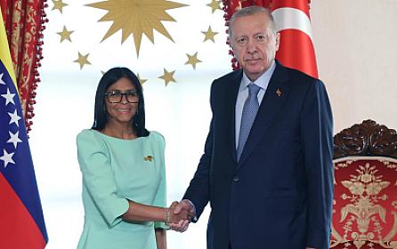Ərdoğanın dəvəti ilə