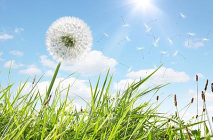 How will the weather be tomorrow? –