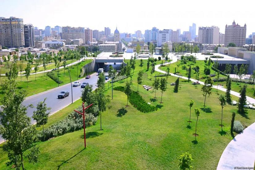Azərbaycanda “uçan pələnglər” yayıla bilər – 