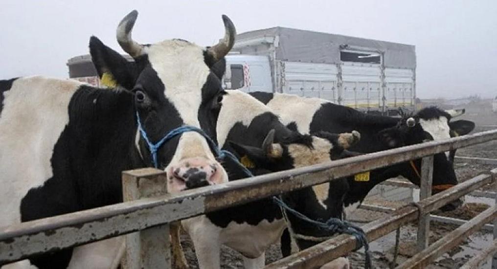 Livestock in the country