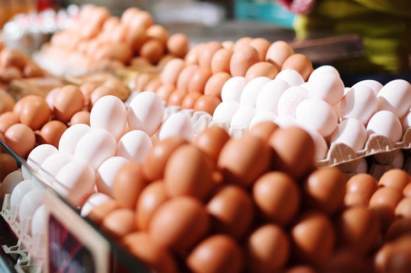 Bir qəpiyə satılan yumurtalar saxta olub? - 