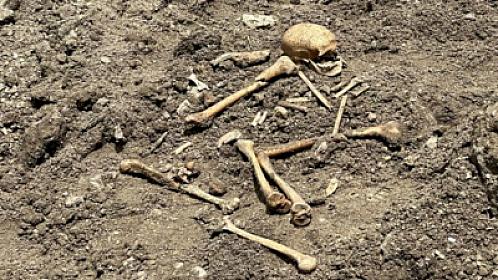 Ağdamda qazıntı zamanı insan skeletinə bənzər qalıqlar aşkarlandı