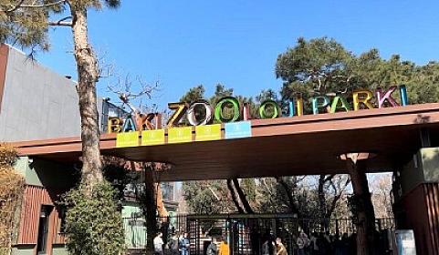 Bakı zooparkı fəaliyyətini